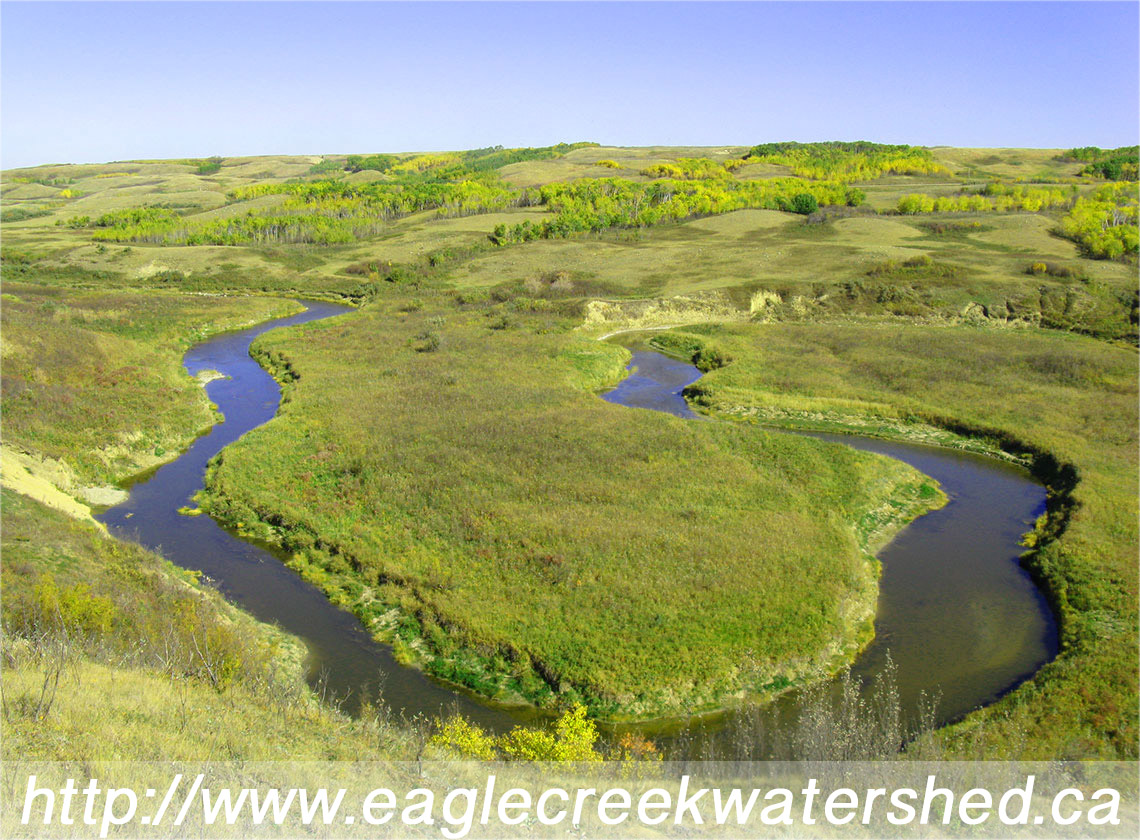 EagleCreek Watershed Group Website